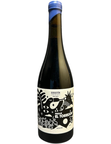 A RAS DE SUELO "EL TORREJÓN"